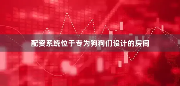 配资系统位于专为狗狗们设计的房间