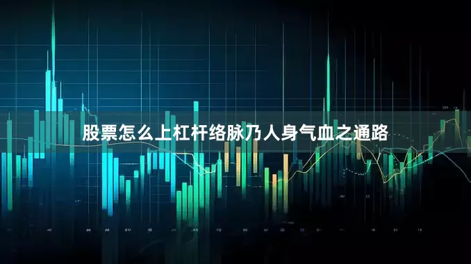 股票怎么上杠杆络脉乃人身气血之通路