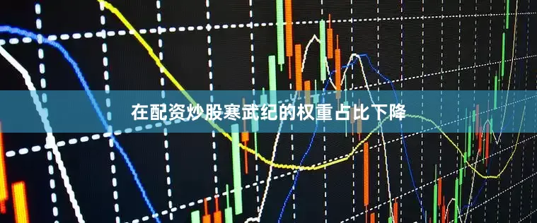 在配资炒股寒武纪的权重占比下降