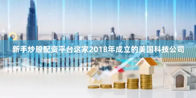 新手炒股配资平台这家2018年成立的美国科技公司